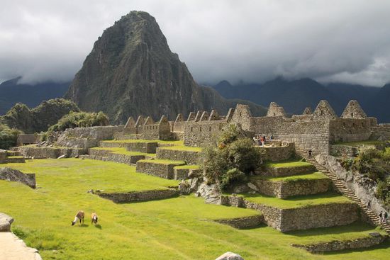 Im Hintergrund der Huayna Picchu, der "Junge Gipfel", und vorne links ganz idyllisch ein Alpaca-Pärchen