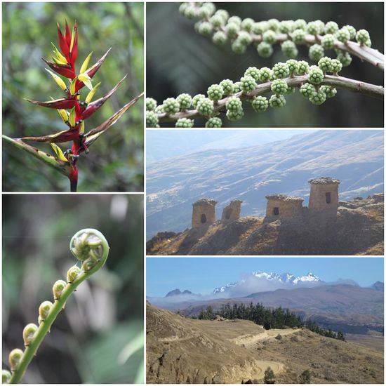 Auf unserem Weg machten wir an einer Pre-Inka Stätte halt (Mitte rechts).
Was für ein Kontrast zu den tiefgrünen Landschaften auf der anderen Seite des Berges.