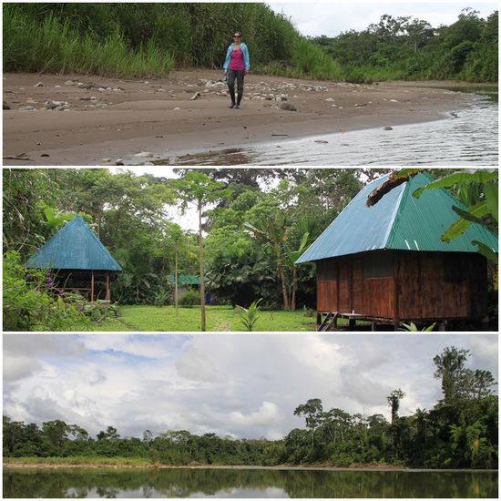 Oben:
Sieht lässig aus, wie Annika da am Strand entlang läuft. Kurz darauf wurden wir von Sandfliegen AUFGEFRESSEN. Diese Biester sind äußerst aggressiv und die Bisse bleiben teils über Wochen sichtbar. Einfach ätzend, auch gerade, da man die Bisse zuerst gar nicht spürt. Merkt man es, dann ist bereits das halbe Bein angefressen...
Mitte:
Sieht idyllisch aus, Bettwanzen als Zugabe...