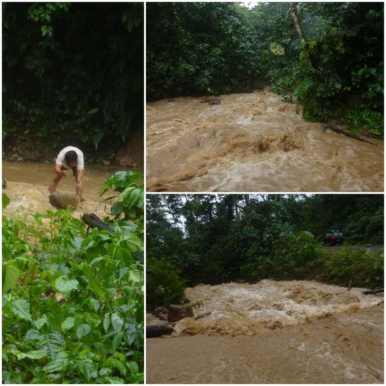Nachdem es ja bekanntlich wie aus Kübeln gegossen hatte, war es schier unmöglich, die Straße zurück nach Cusco zu passieren. Der Dschungel wollte uns wohl noch ein wenig behalten.
Erst mussten Gesteinsbrocken, die der entstandene Fluss mit sich geführt hat, beiseite geräumt werden.
