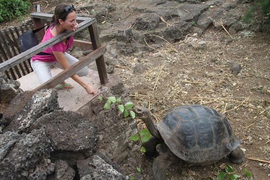 In der Darwin-Station: Wer gewinnt wohl den Kampf um das leckere Grünzeug? 
