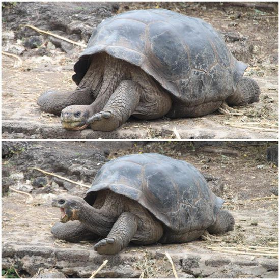Nach dem Nickerchen erstmal herzhaft gähnen! Ist ja auch irgendwie nix los hier!