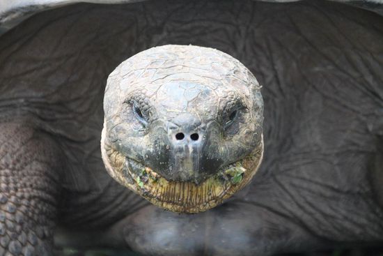 Huch! Da muss wohl der Lichttechniker nochmal ran 