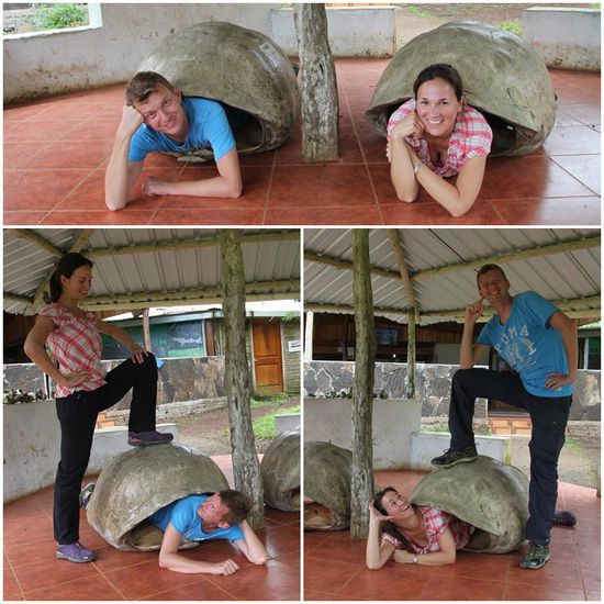 Und was ist da wohl Wunschdenken und was Realität?