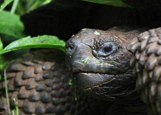 Hier sehen die Exemplare doch gleich viel frischer und fideler aus!