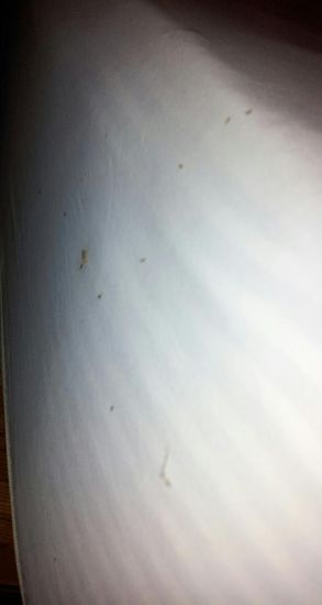 Wir teilen unser Nachtlager mit vielen kleinen feinen Freunden