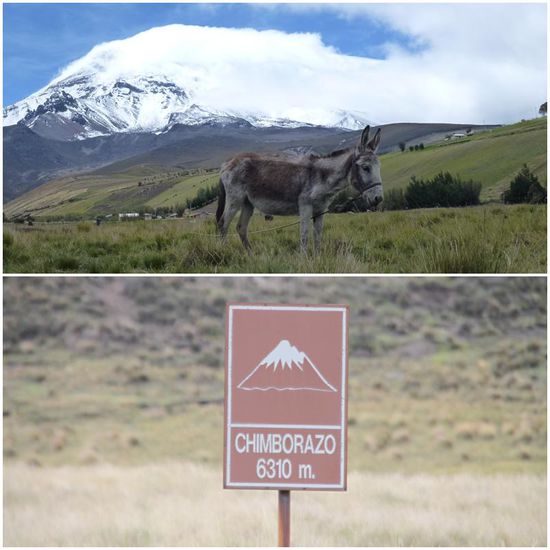 Unser Ziel: 
Der Vulkan Chimborazo