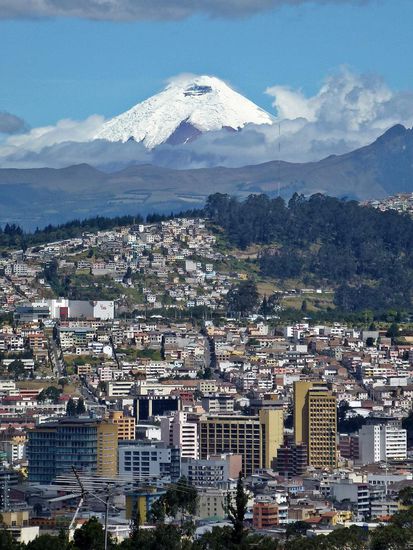 Hier sieht man ihn nochmal besser.