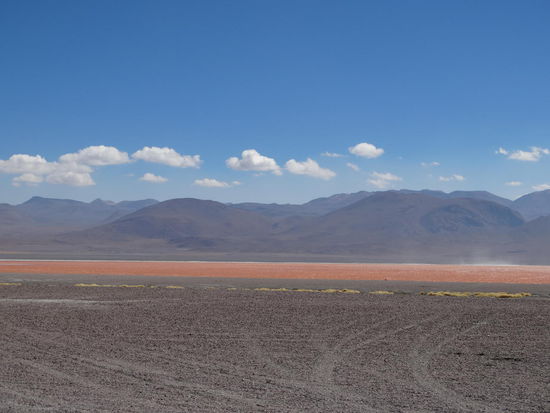 Laguna Colorada