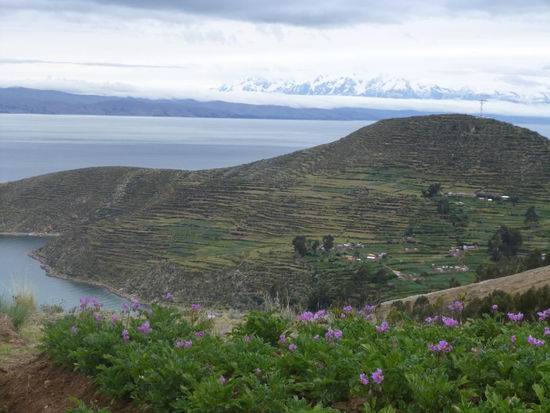 Hier die besagten Kartoffelfelder und wie ordentlich!