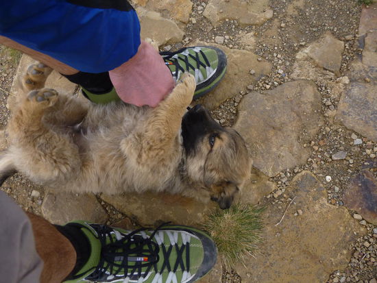 Lorenz hat auf der Wanderung noch einen kleinen neuen Freund gefunden