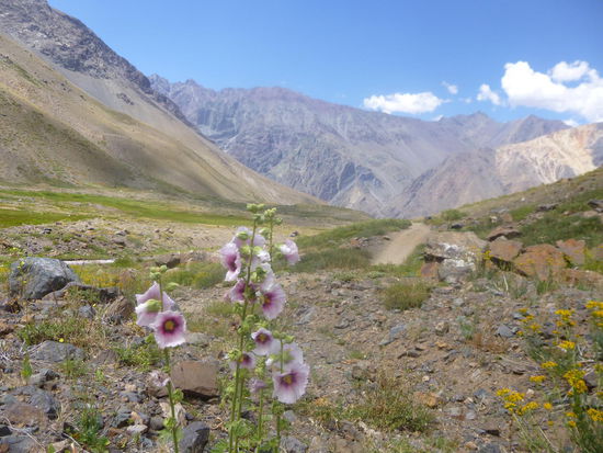 Im Monumento Natural El Morado