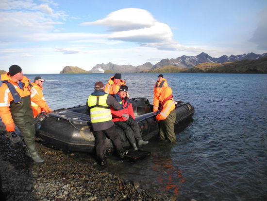 Um die Tiere nicht zu stressen, dürfen maximal 100 Leute an Land gebracht werden. Wir werden auf ca. 8 Boote verteilt und haben 65 Minuten Zeit und dürfen nur dort gehen, wo die Begrenzungsfahnen stehen. Wir müssen 5- 10 m Abstand zu den Tieren einhalten. Sollten jedoch die Pinguine auf uns zukommen, dann gilt Foto raus und stehen bleiben.