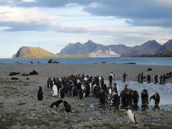 Wir haben nur 40 Minuten Zeit, es ist schon 19:00 Uhr und die letzte Gruppe wartet noch auf die Ausbootung. After Dinner ist noch Eisstockschießen angesagt und danach konnten wir zusehen wie eine Eisskulptur geschnitzt wurde.