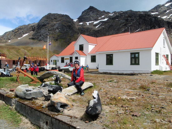 Heute sind wir die zweite Gruppe zur Anlandung auf Grytwicken. Hier wurde 1904 von Larsen die erste Walfangstation gegründet. Bis in die 1960 er Jahre war Walfang ein sehr profitables Geschäft. In den besten Zeiten lebten hier um die 1000 Walfänger, meistens Norweger und Briten mit ihren Familien. Im Museum von Stromness können wir sehr viel über die Geschichte des Walfangs erfahren.