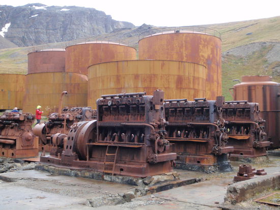 Um die 25 Wale wurden an einem Tag verarbeitet, schrecklich! Es wurde 24 Stunden gearbeitet, auch am Samstag und Sonntag!  In diesen Behältern wurden Blut, Fleisch, Knochen gelagert um dann in großen Kochern das Oil auszulassen. Danach wurde das Tranfett in die ganze Welt transportiert. Wir können uns noch alle an den "scheuslichen" Lebertran erinnern, den wir Kinder schlucken mussten!