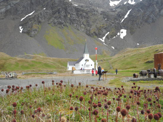 Die im Jahr 1913 erbaute Kirche ist das einzige renovierte Gebäude auf der ehemaligen Walfangstation. Hier konnten wir die uralte Bibliothek bestaunen.
