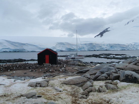 Bei durchschnittlich 5 Grad besuchen wir die britische Station Port Lockroy, ein natürlicher Hafen auf der antarktischen Halbinsel. Hier gibt es drei Hütten, einen Fahnenmast, ein Windmessgerät und die südlichste Poststation der Erde. Ins Museum können maximal 30 Personen, dann ist es rappel voll.  Kein Ort in der Antarctis wird von so vielen Menschen besucht wie dieser. Deshalb gibt es strenge Regeln, es dürfen nicht mehr als 100 Menschen an Land. Die Boote, welche hier unterwegs sind, dürfen maximal 500 Personen an Bord haben.