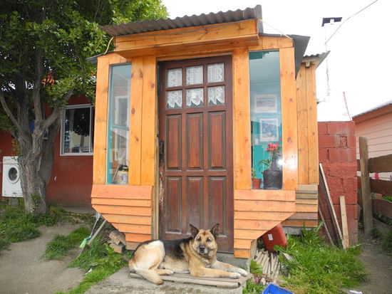 Die Stadt ist bunt, lebhaft und uns gefallen die bunten kleinen Holzhäuschen die aussehen wie unsere Gartenlauben zu Hause. Jedes Eigenheim wird streng bewacht, so viele Hunde wie hier haben wir noch nirgends angetroffen, allerdings sind alle friedlich.
