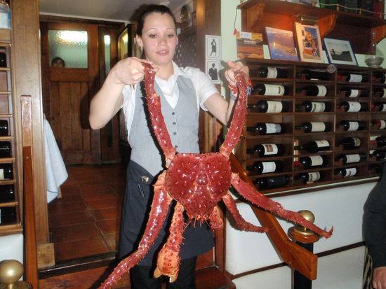 Unbedingt versuchen sollte man in Ushuaia die lokale Spezialität Centolla (Königskrabbe), welche wir sogar zweimal gegessen haben, 
da diese wirklich super schmeckt.