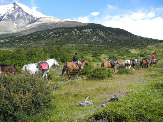 Die Hütte wird mit Lastpferden versorgt, es gibt wohl keine andere Möglichkeit.