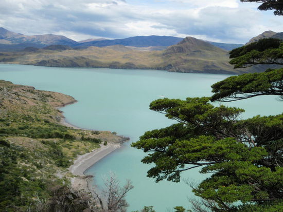 Nach einer harten Nacht für unsere Knochen packen wir wieder alles zusammen und wandern mit traumhafter Aussicht am Lago Nordenskjold entlang. Über uns kreisen Condore, wir freuen uns über die verschiedenen Beeren und Pflanzen.