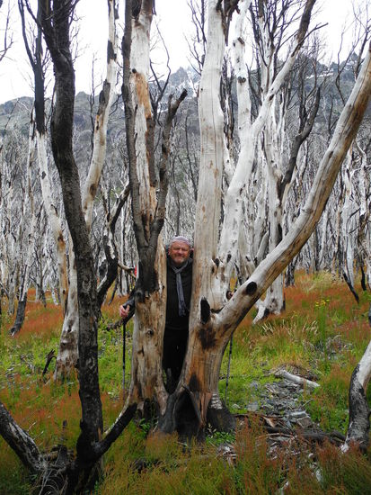 Jetzt kommen wir durch verbrannte Gebiete, es sieht aus wie im Geisterwald.  im Jahr 2005 verursachten unaufmerksame Touristen einen verherenden Waldbrand. Die Steppengräser und Büsche haben sich erholt, der Wald mit seinen verkohlten Bäumen sieht trostlos aus.