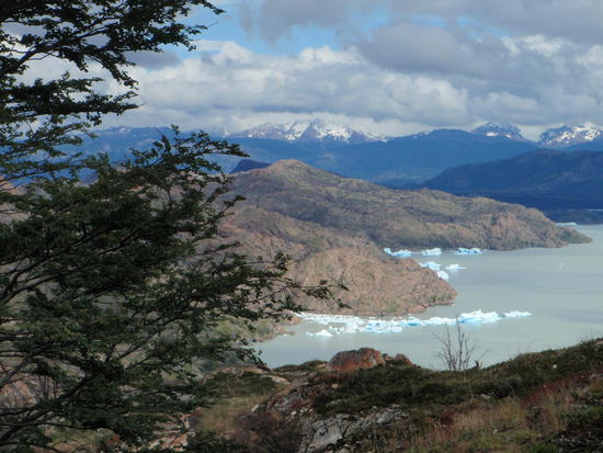 Nach einem tollen Frühstück gehen wir heute den letzten Teil unserer Wanderung zum Glacier Grey. Kalter Wind bläst uns in diesem Taleinschnitt entgegen. Nach ca. 1,5 Stunden sehen wir schon die ersten abgebrochenen Eisstücke des Gletschers.