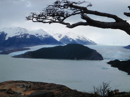In der Ferne sehen wir schon den Grey Gletscher und denken, so weit kanns ja nicht mehr sein! Allerdings brauchen wir noch 3 Stunden, bis wir unser heutiges Ziel, die Refugio Grey erreicht haben.