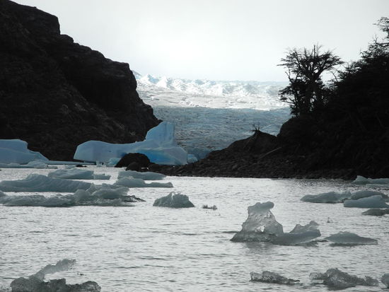 Vor dem Abendessen gehen wir noch näher an den Gletscher, dem sogenannten Mirador. Hier treiben dicke, weißblaue Eisblöcke aus der Wand des Grey Gletschers.