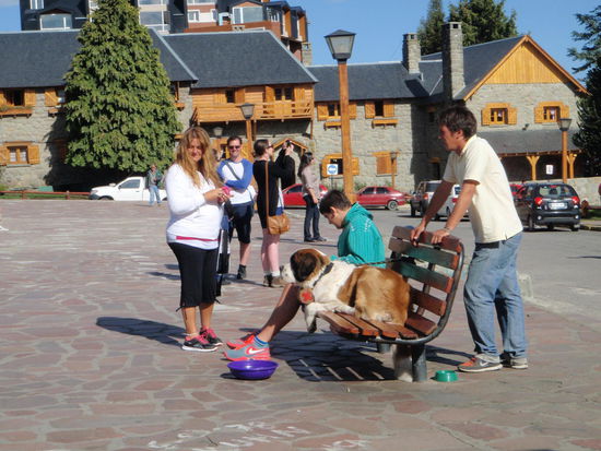 Sogar der typische Bernhardiner mit Fässchen um den Hals ist da!