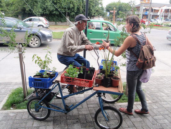 Zum Schluss unserer Tage in Pukon haben wir noch eine Geschäftsidee entdeckt!
Heute Abend fahren wir mit dem Bus, diesmal haben wir einen Schlafsessel buchen können, nach Valparaiso, dem Paradies Tal!