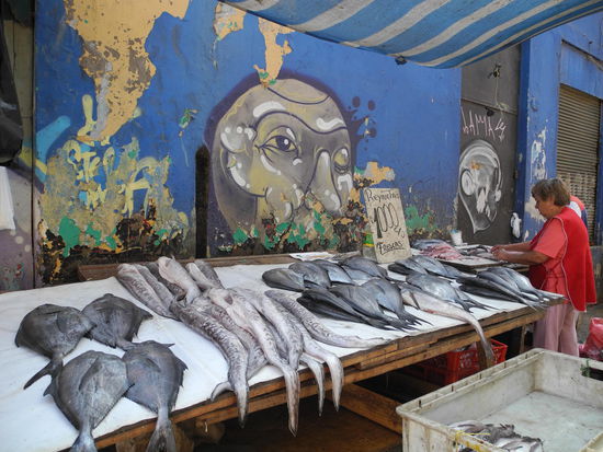 Vor allem die interessanten Fische und Meeresfrüchte die es dort zu sehen gibt.