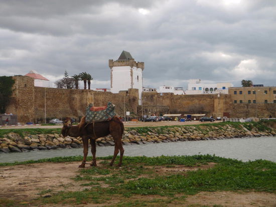Die Stadtmauer von Ashila