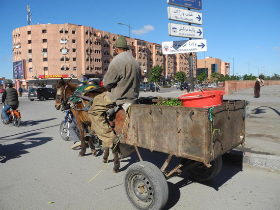 Wer kein motorisiertes Fahrzeug hat, behilft sich mit dem Berbertaxi!