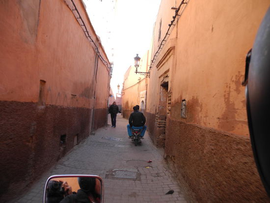 Die Jungs sind sofort zur Stelle, wenn sie ein "Geschäft" wittern!
