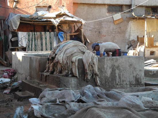 Im Gerberviertel bearbeiten Männer in großen Bottichen Tierhäute mit ätzenden Laugen und färben sie ein. Gegen den bestialischen Gestank geben uns die Führer Petersiliensträußchen.