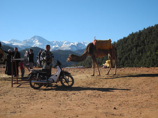 Ein "Gag" auch für uns: Vom Skifahren im Atlas zum Kamelreiten in die Wüste!