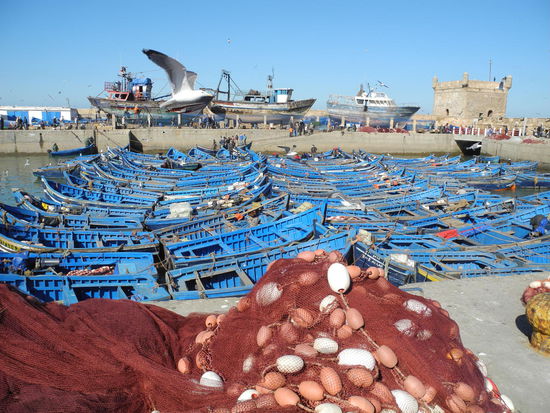 Wenn die Fischer am Vormittag zurückkommen, gibt`s fangfrische Ware.