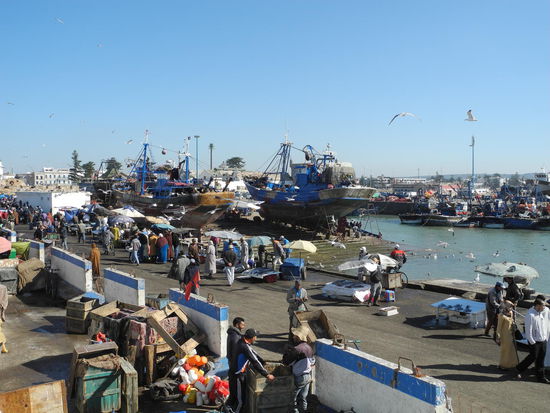 Viele Stände mit unterschiedlicher Vielfalt.