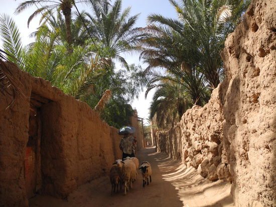 Die Wege sind teilweise eng und wie ein Irrgarten.