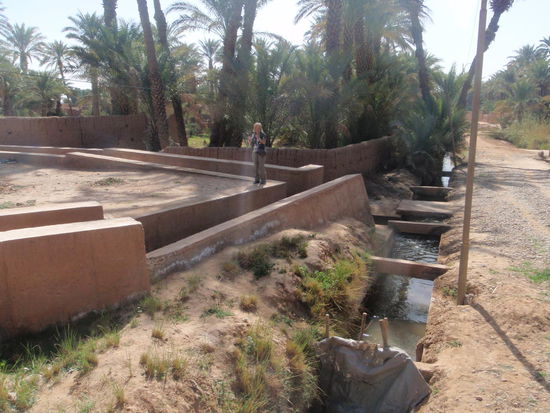 Wir spazieren durch die Gärten mit ihren 
ausgeklügelten Bewässerungsanlagen.