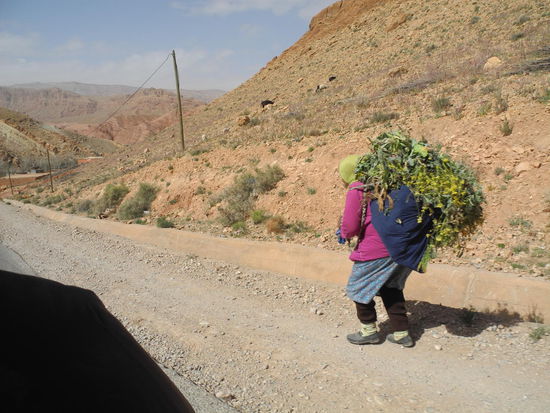 Beschwerlich ist das Leben für die Landbevölkerung, sie sind sehr arm, haben keine Heizung und nicht mal fliessendes Wasser. Sie besorgt das Futter für die Tiere.