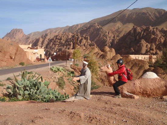 Die Karawane "zieht weiter"!