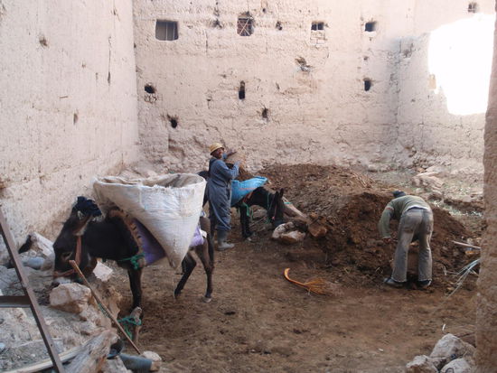 Die Sammelstelle für Abfall und Mist von den Tieren, der Geruch ist bestialisch!