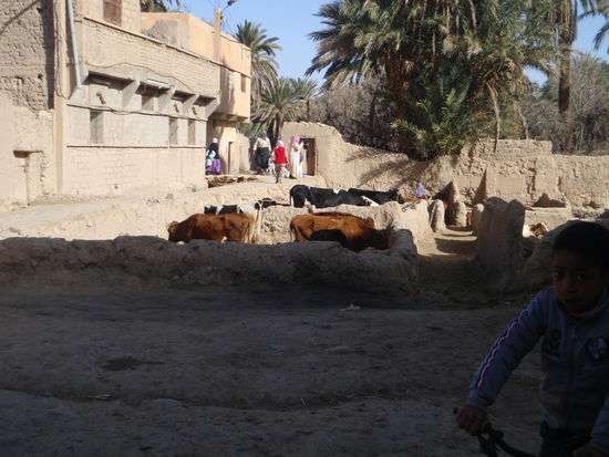 Der Waschplatz und zugleich die Tränke für die Tiere.