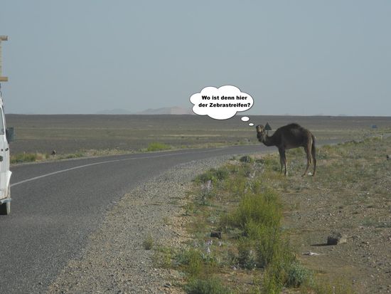 Wo ist denn hier der Zebrastreifen?