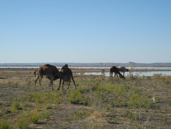 Unser erster Stopp, ein "Zeitsee", diesen gibt es nur, wenn genügend Wasser vorhanden ist.