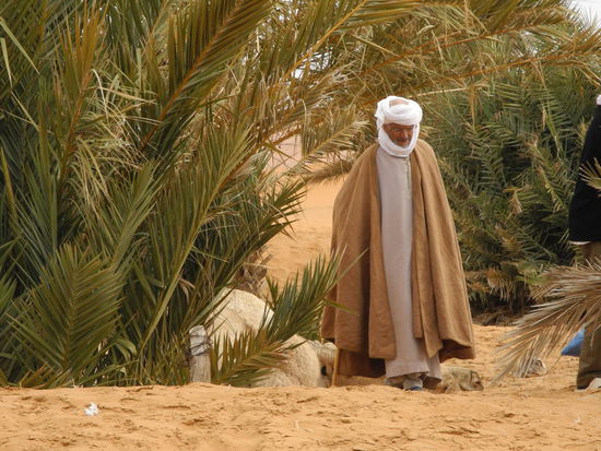 Pünktlich um 9:00 werden wir von "Vader Abraham" abgeholt.
