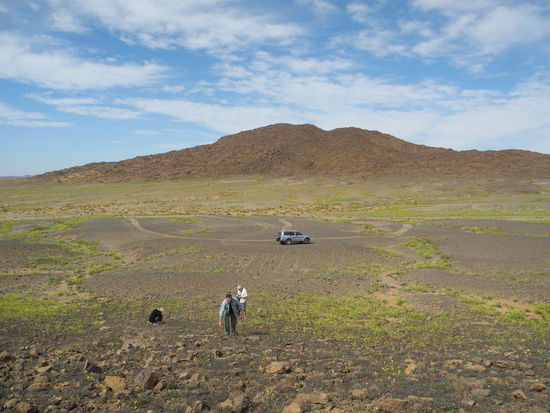 Wer die Geduld hat, kann hier außergewöhnliche Fossilien finden!